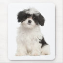 Search for havanese dog mouse mats Dogs