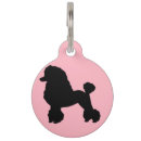 Search for rock pet supplies For pets