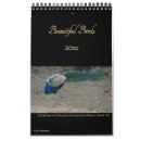 Search for birder photography Birds