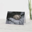 Search for curled cards Animal