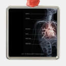 Search for human body part christmas tree decorations Heart