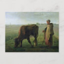 Search for grazing cows postcards Agriculture