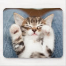 Search for humane electronics Animal