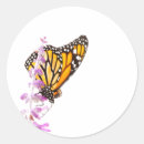 Search for black and orange butterfly stickers Wings