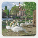 Search for white swan stickers Animal