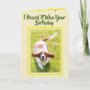 Search for big ears cards Cute