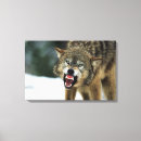 Search for grey wolf canvas prints Outdoors