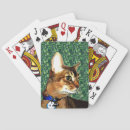 Search for gun playing cards Cat