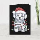 Search for bichon christmas cards Santa