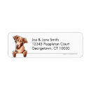Search for chesapeake return address labels Chesapeake bay retriever
