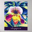 Search for singapore travel posters Gardens by the bay