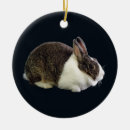 Search for dutch rabbit decor Bunny