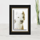 Search for american pit cards Terrier