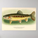 Search for trout fly posters Sport