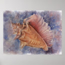 Search for shell beach posters Pink