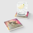 Search for calico cat coasters Funny