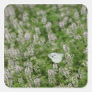 Search for wild side stickers Nature