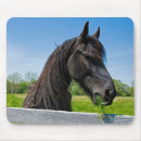 Search for friesian electronics Equestrian