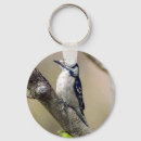 Search for woodpecker key rings Birdwatching