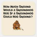 Search for groundhog stickers Nature