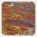 Search for dinosaur bones stickers Fossil