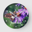Search for butterfly clocks Wildlife