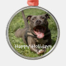 Search for nose christmas tree decorations Blue nose pitbull