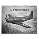 Search for skyraider Aviation