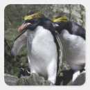 Search for macaroni stickers Bird
