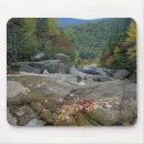 Search for fall of america mouse mats Falling
