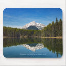 Search for banff electronics Nature