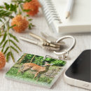 Search for white tail deer key rings Doe