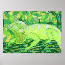Search for iguanas posters Lizard