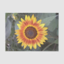 Search for orange sunflower gift wrap Gold