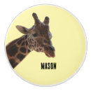 Search for nursery knobs and pulls Kids