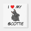Search for scotty magnets Terrier