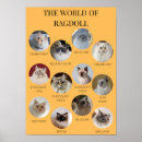 Search for ragdoll cat art Animal