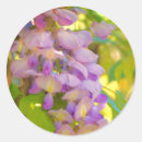Search for wisteria stickers Floral