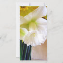 Search for generator photocards Floral