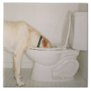 Search for drinking tiles Lifestyles