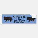 Search for mini bumper stickers Pig