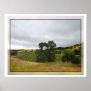 Search for robles posters Vineyards