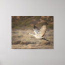 Search for bosque del apache posters Flight
