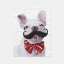 Search for one photo blankets Cute animals