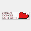 Search for eight bumper stickers Green