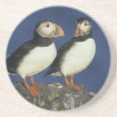 Search for puffin coasters Couple