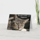 Search for should cards Cat