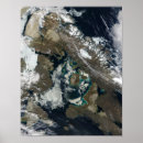 Search for arctic fox posters Ice