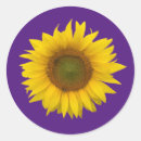 Search for cute sunflower stickers Girly