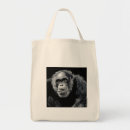 Search for chimp bags Illustration